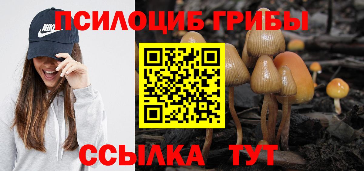 Галлюциногенные грибы Psilocybe Чебаркуль