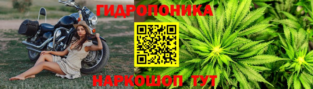 Каннабис план Чебаркуль
